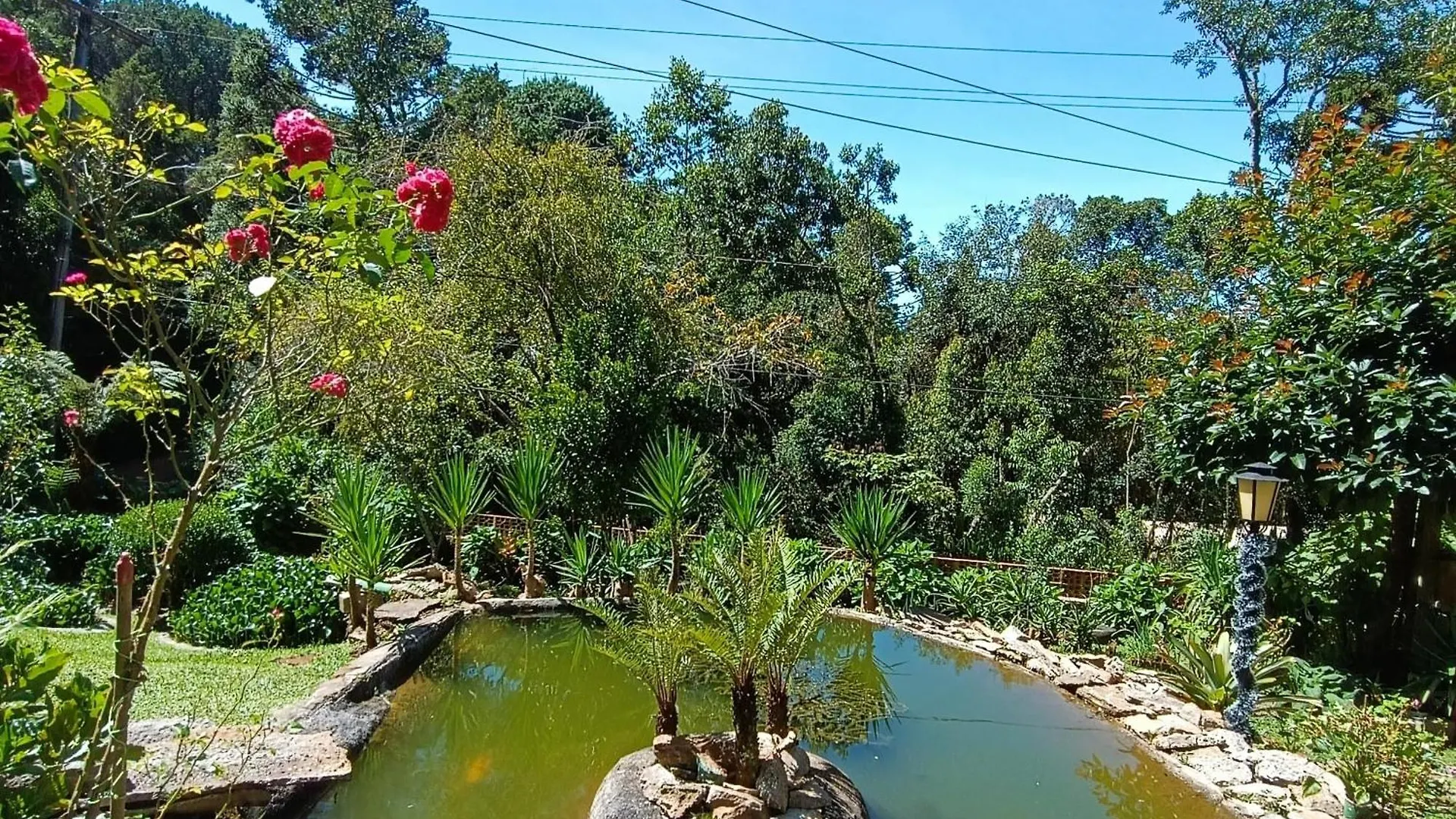 A Guesthouse In The Blue Forest Campos do Jordao Brazil