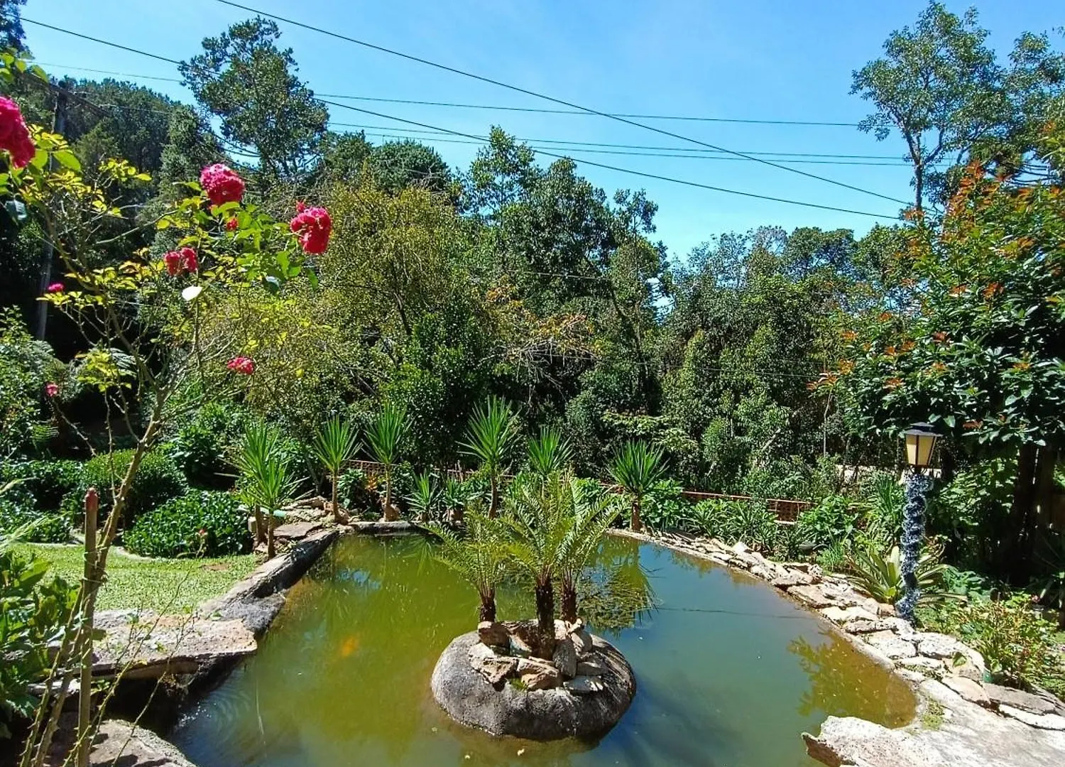 Guest house A Guesthouse In The Blue Forest Campos do Jordao