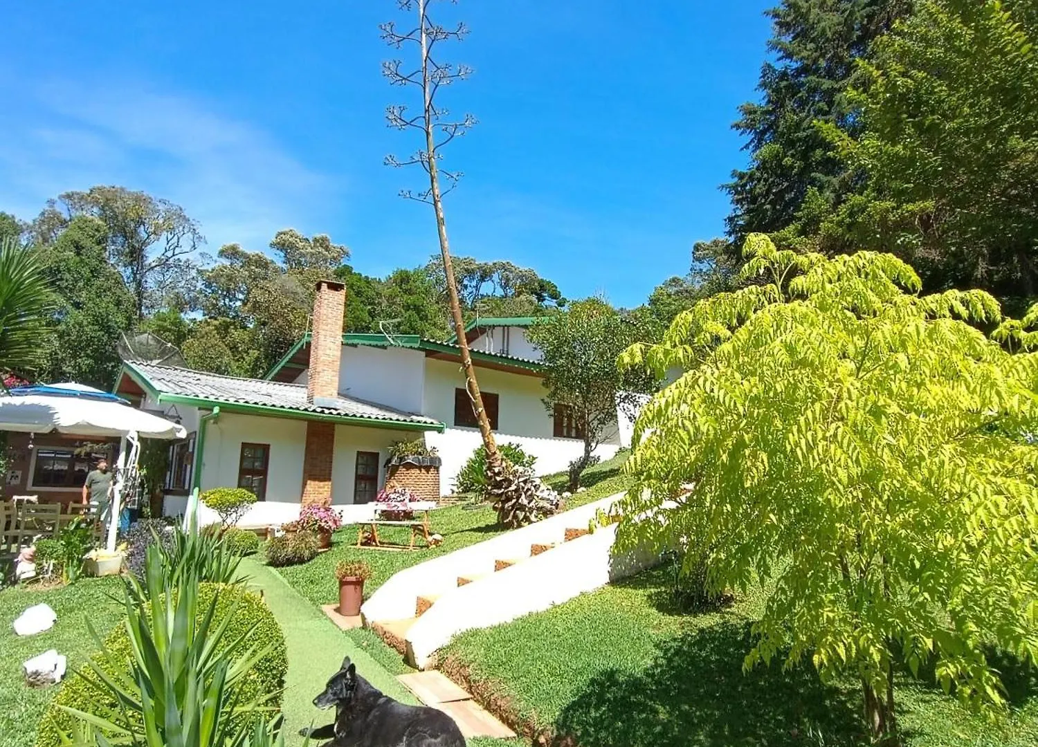 A Guesthouse In The Blue Forest Campos do Jordao Guest house